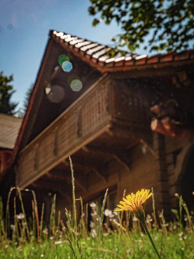Tworzowka - Ekskluzywne Domy W Gorach Zabnica Exterior photo